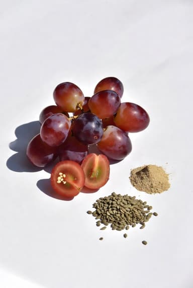 Grape Seed Extract