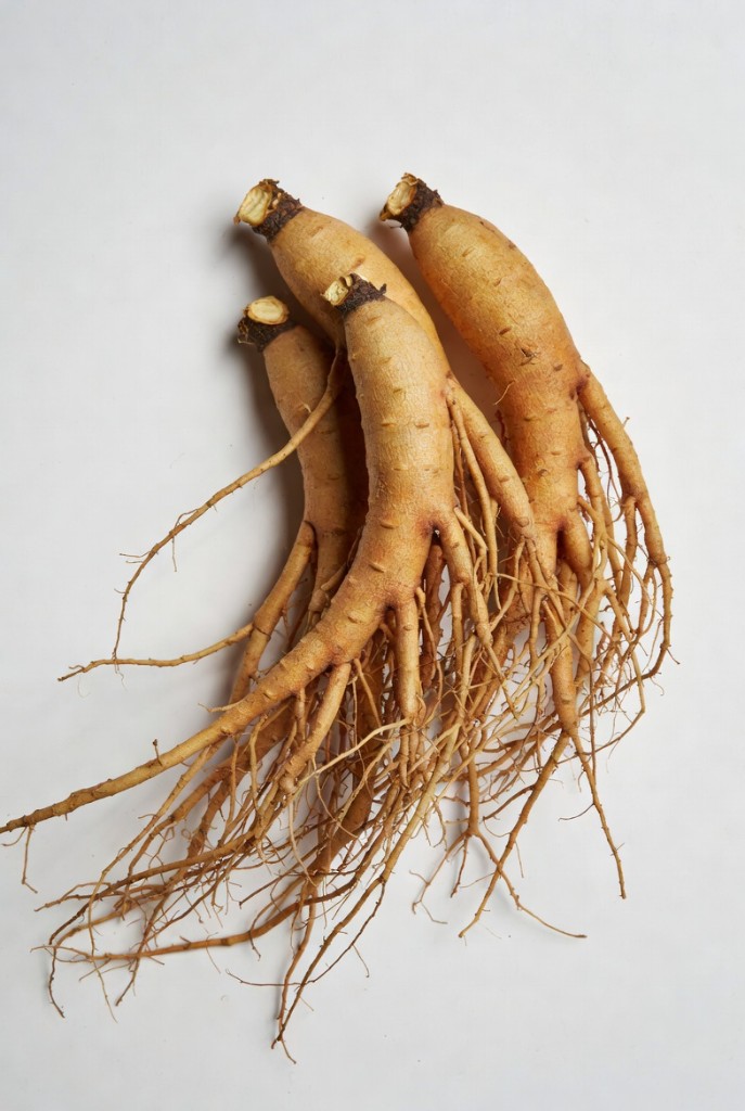 American ginseng roots used in Cereboost