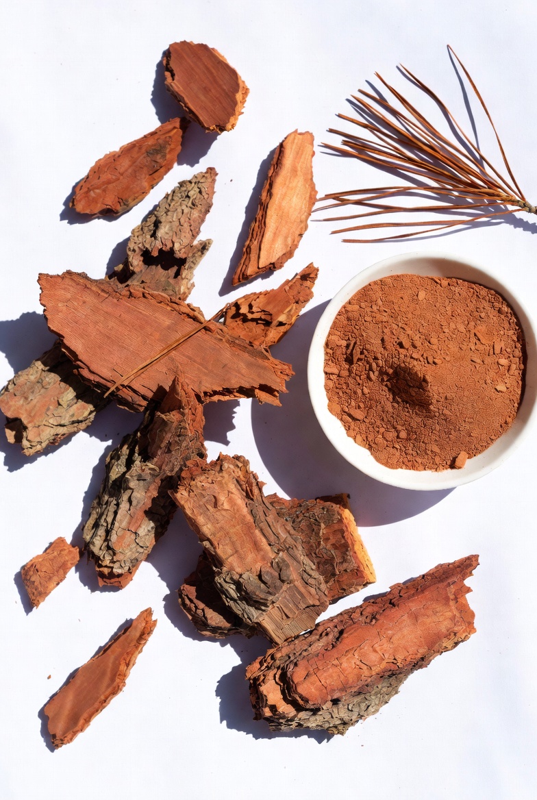 Maritime pine bark and pine extract