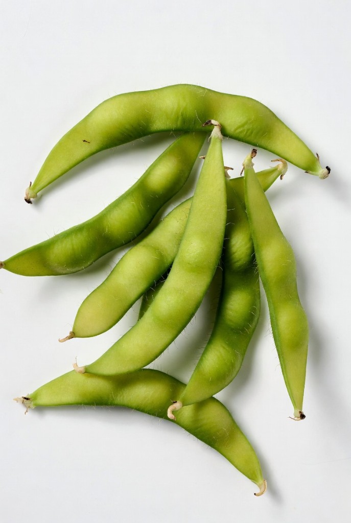 Food sources related to phosphatidylserine